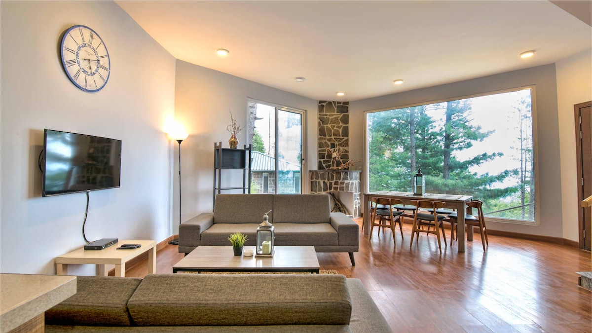 Modern Stone Villa · Panoramic Pine Forest View